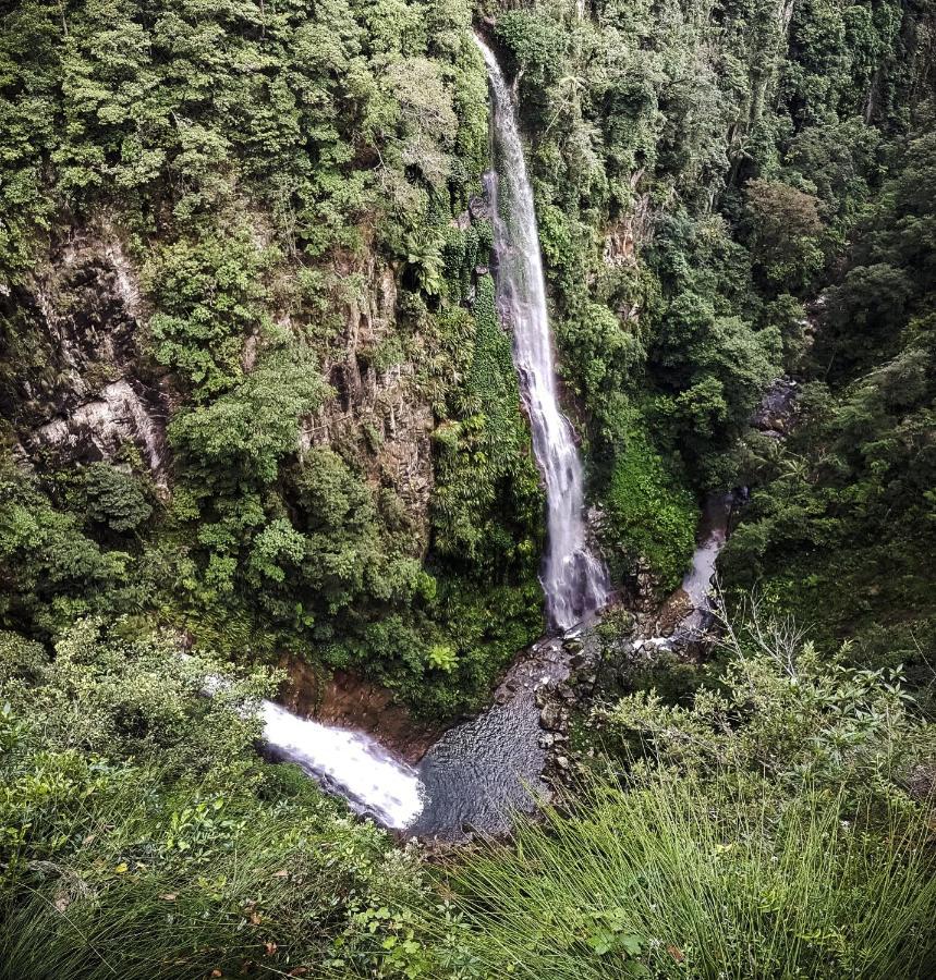 Binna Burra Rainforest Campsite Beechmont Zewnętrze zdjęcie